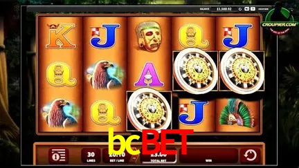 VIP Casino bcbet